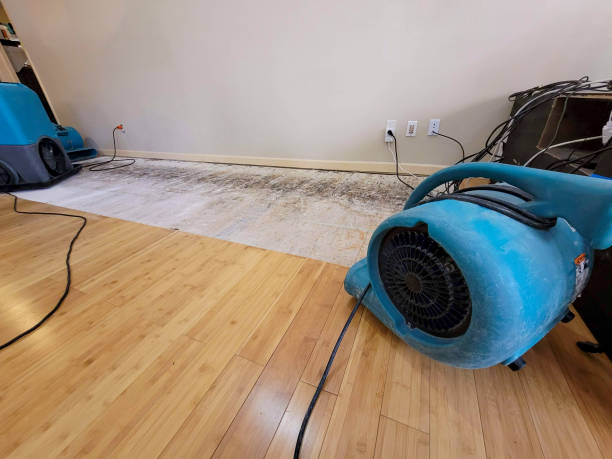 Reliable Basement Flood Cleanup contractor in Harrisville, WV by Hirex Water Damage