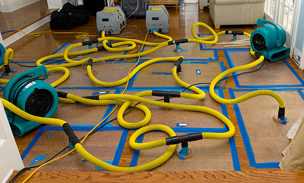 Professional Basement Flood Cleanup technician working in Harrisville, WV
