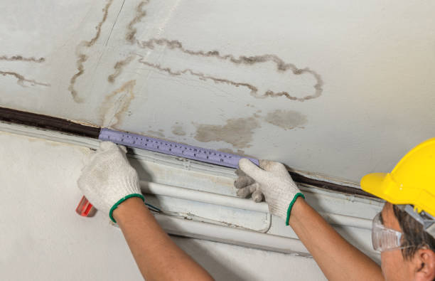 Affordable Water Damage Repair solutions in Harrisville, WV